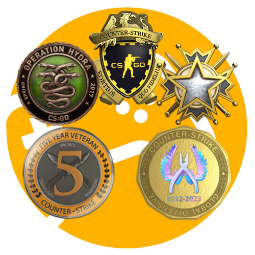 CS2 Prime / 5 Medals / Profile Rank: 18 ⭐️ 3 Games ⭐️ 7 Years of Service ⭐️ 5 lvl ⭐️ For Main ⭐️ 0